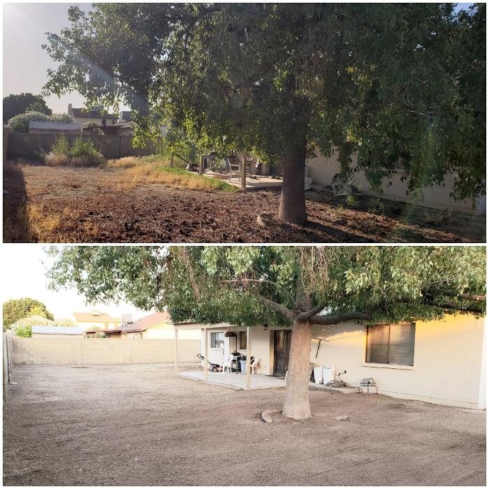 Milk and Honey Landscapes, LLC - Phoenix, AZ