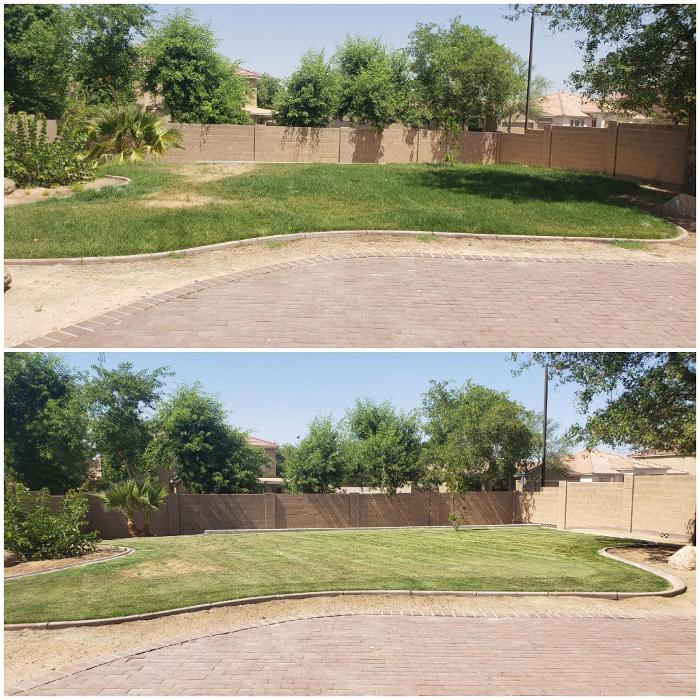 Milk and Honey Landscapes, LLC - Phoenix, AZ