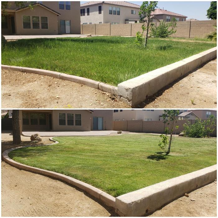 Milk and Honey Landscapes, LLC - Phoenix, AZ