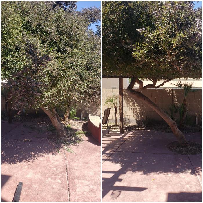 Milk and Honey Landscapes, LLC - Phoenix, AZ