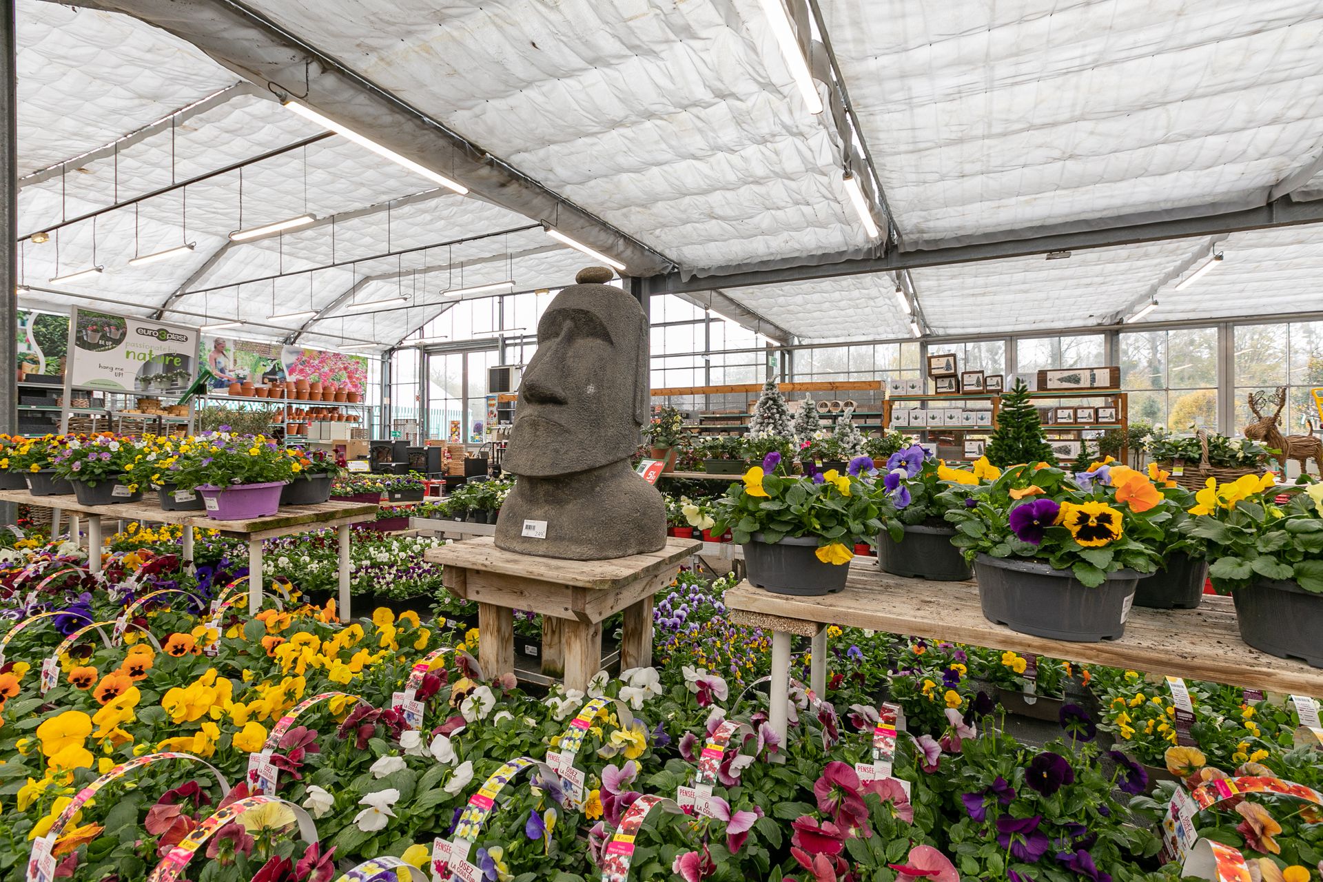 galerie image galerie image