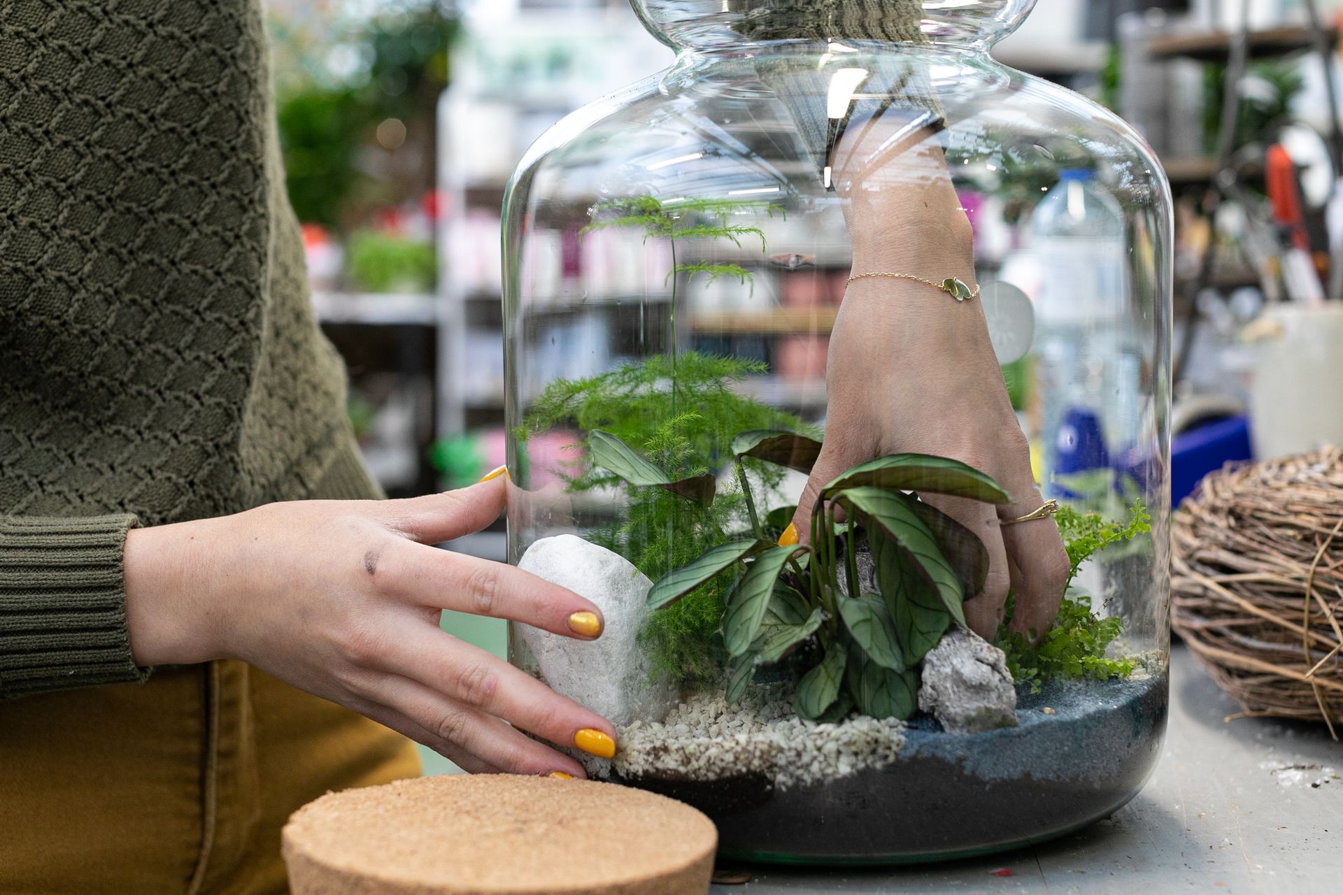 galerie image galerie image