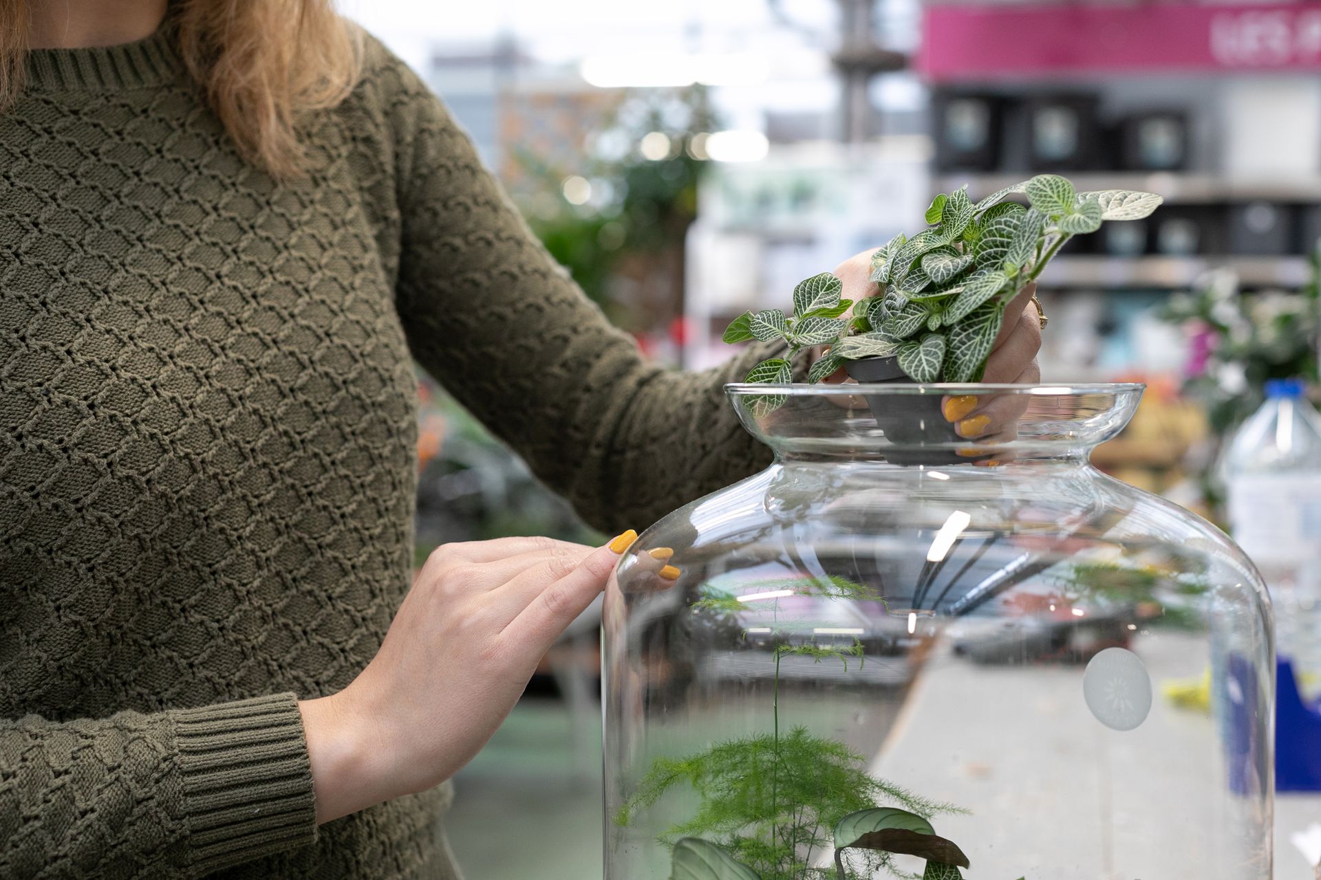 galerie image galerie image