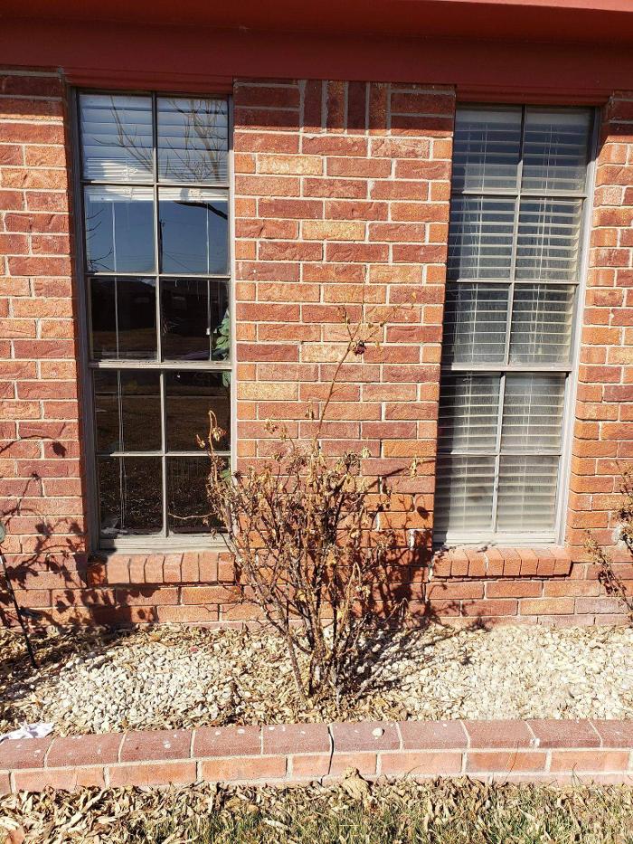 Ellerd Window Cleaning - Amarillo, TX