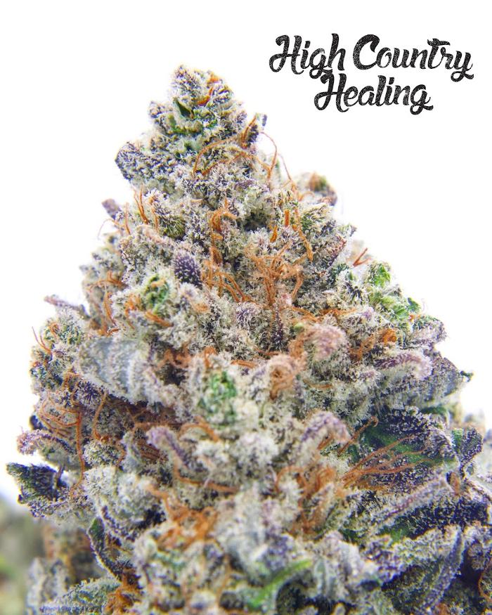 High Country Healing - Beaver Creek, CO