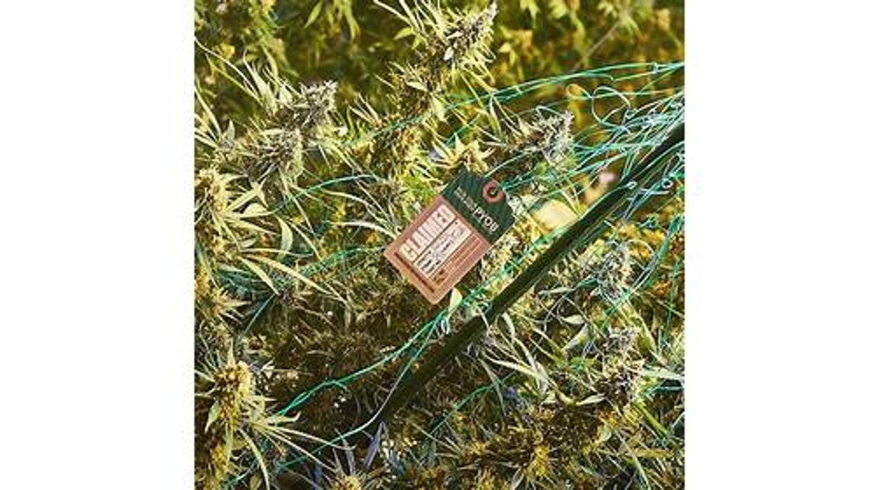 High Country Healing - Beaver Creek, CO