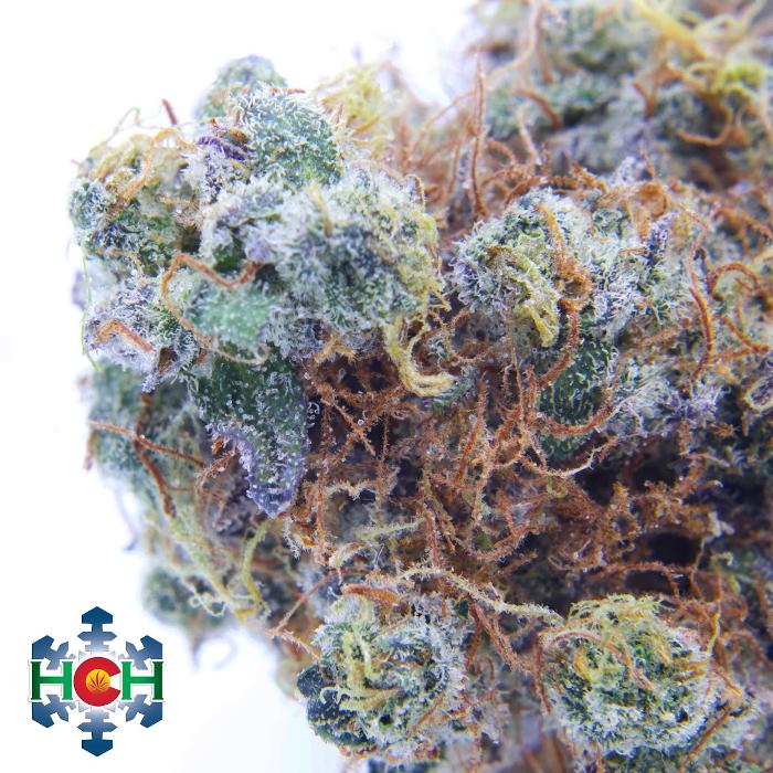 High Country Healing - Beaver Creek, CO