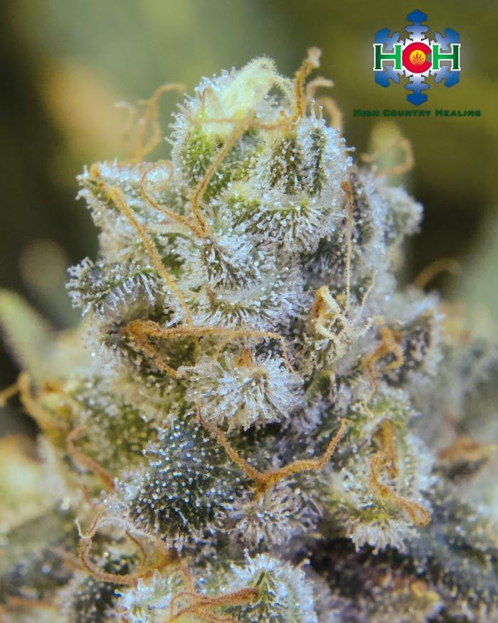 High Country Healing - Beaver Creek, CO