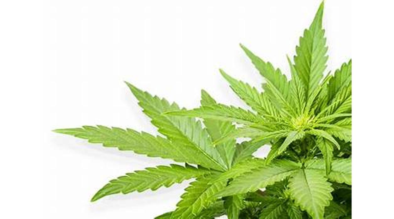 High Country Healing - Beaver Creek, CO