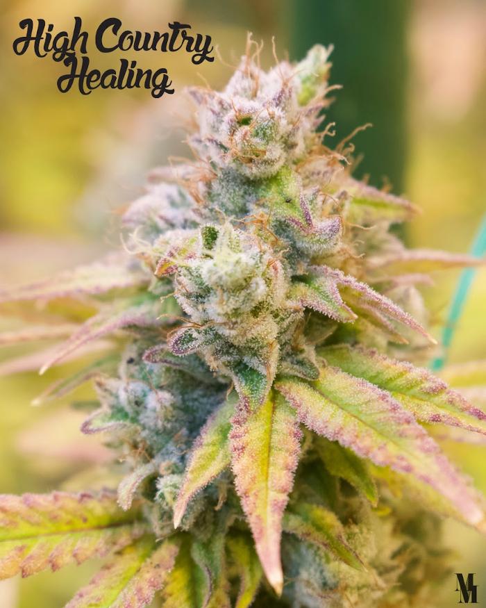 High Country Healing - Beaver Creek, CO