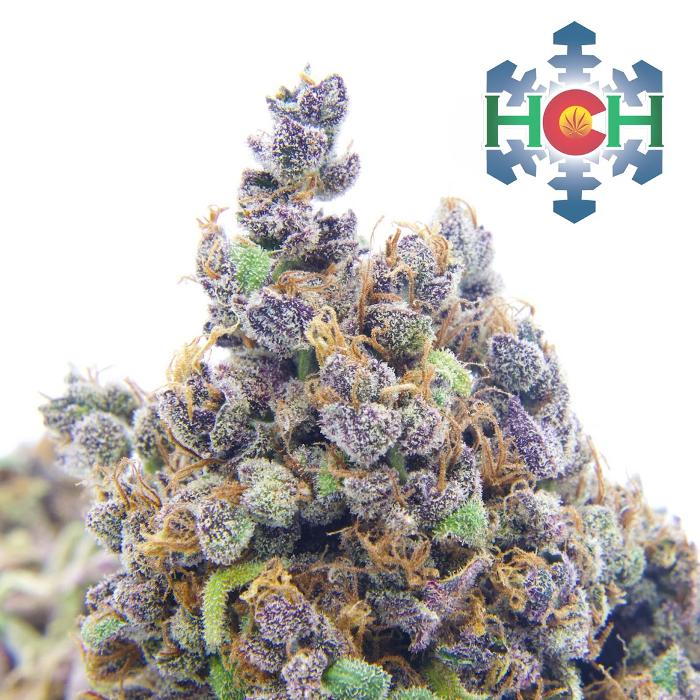 High Country Healing - Beaver Creek, CO