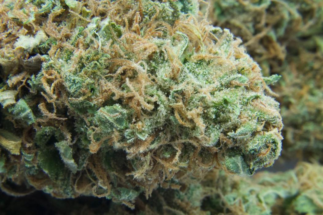 High Country Healing - Beaver Creek, CO