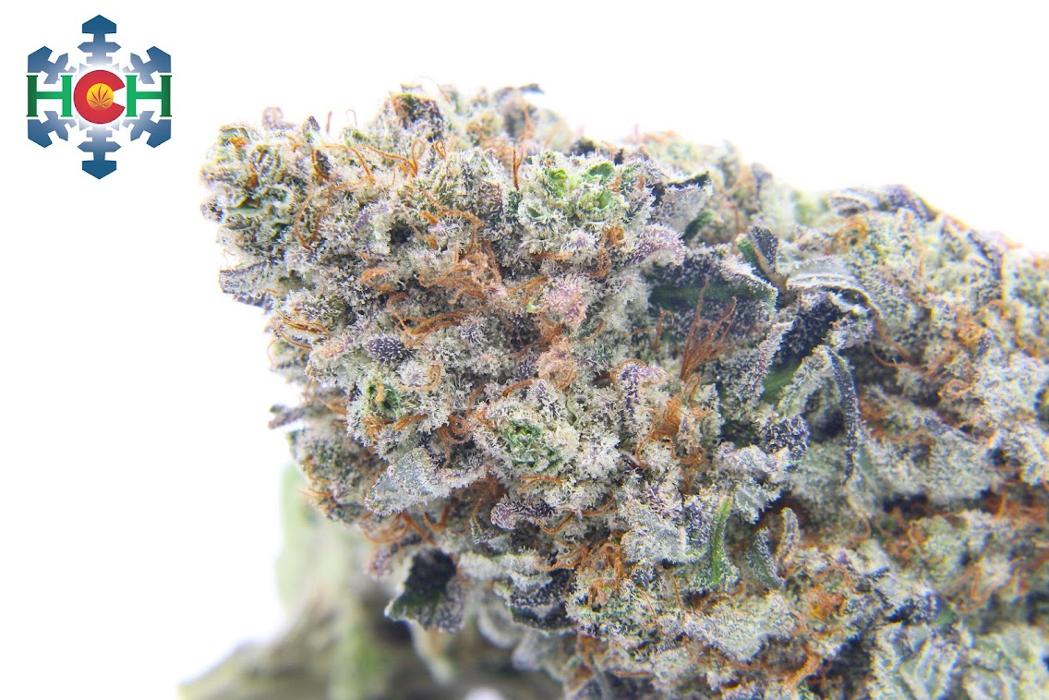 High Country Healing - Beaver Creek, CO