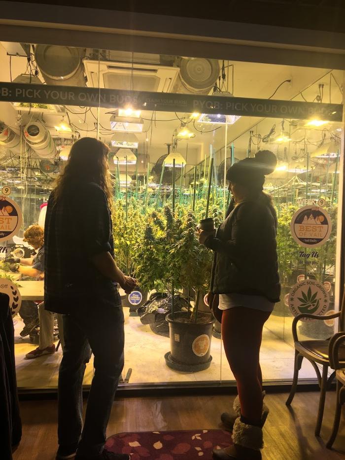 High Country Healing - Beaver Creek, CO