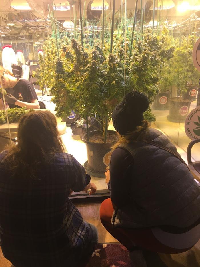 High Country Healing - Beaver Creek, CO