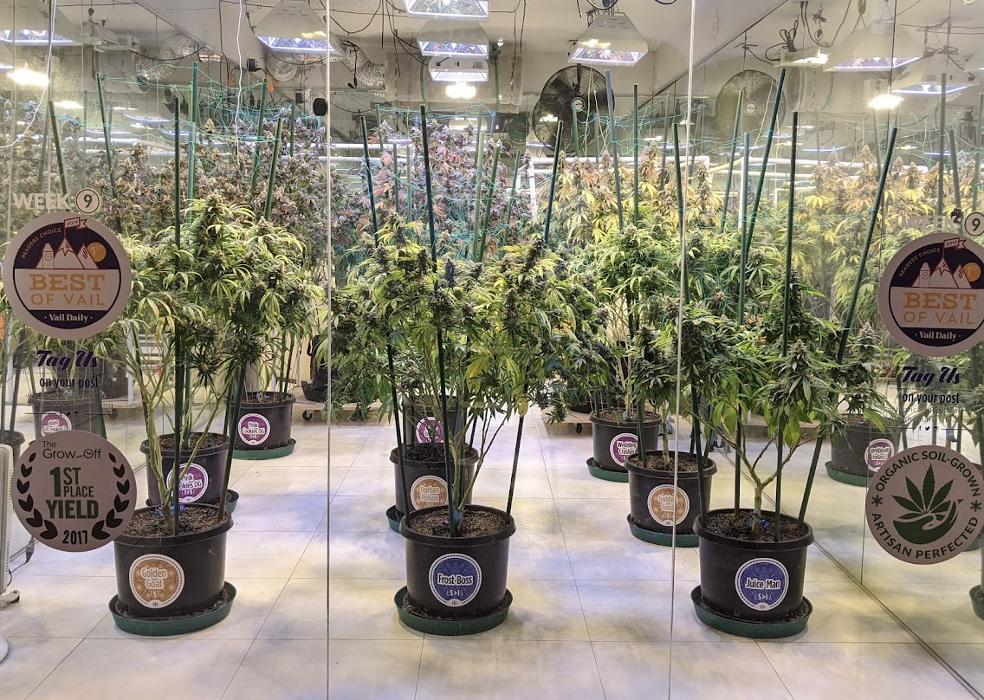 High Country Healing - Beaver Creek, CO