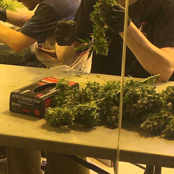 High Country Healing - Beaver Creek, CO