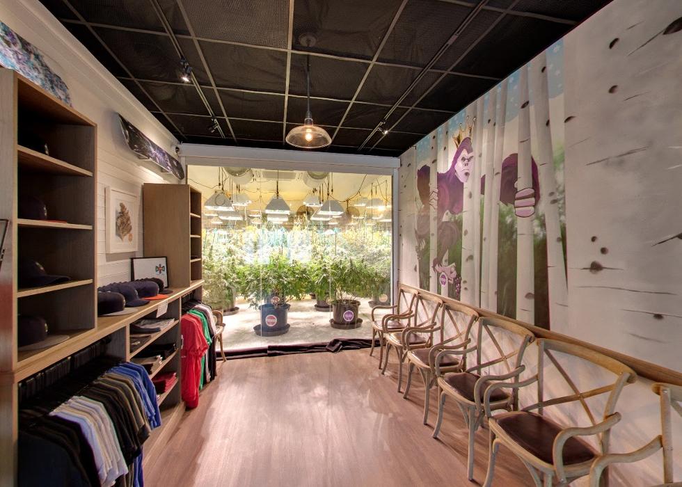 High Country Healing - Beaver Creek, CO