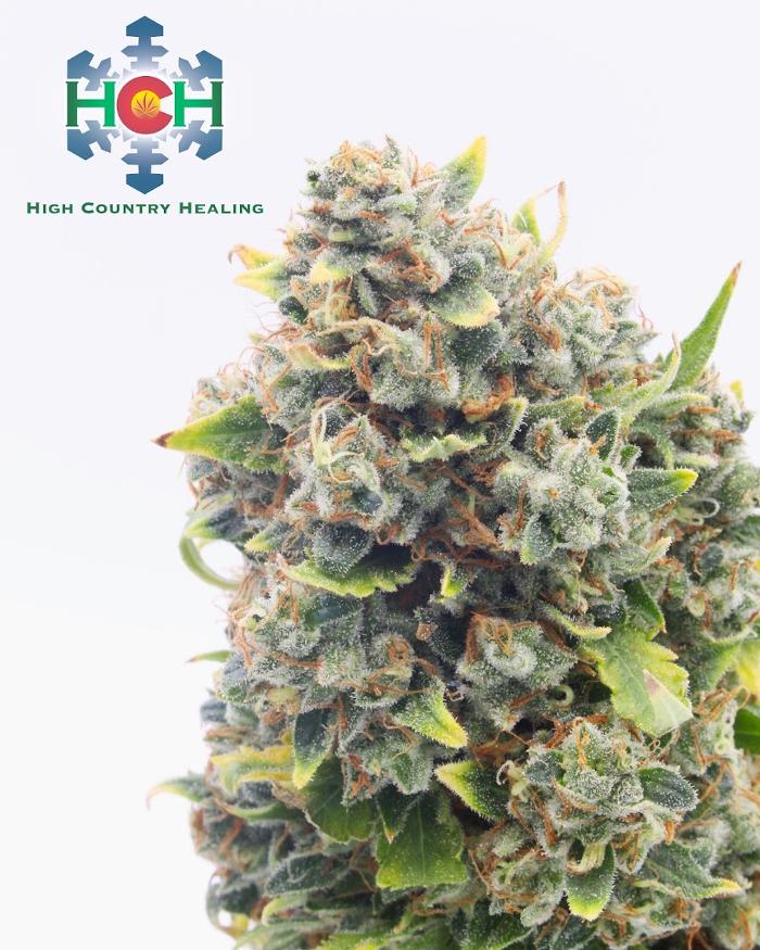 High Country Healing - Beaver Creek, CO