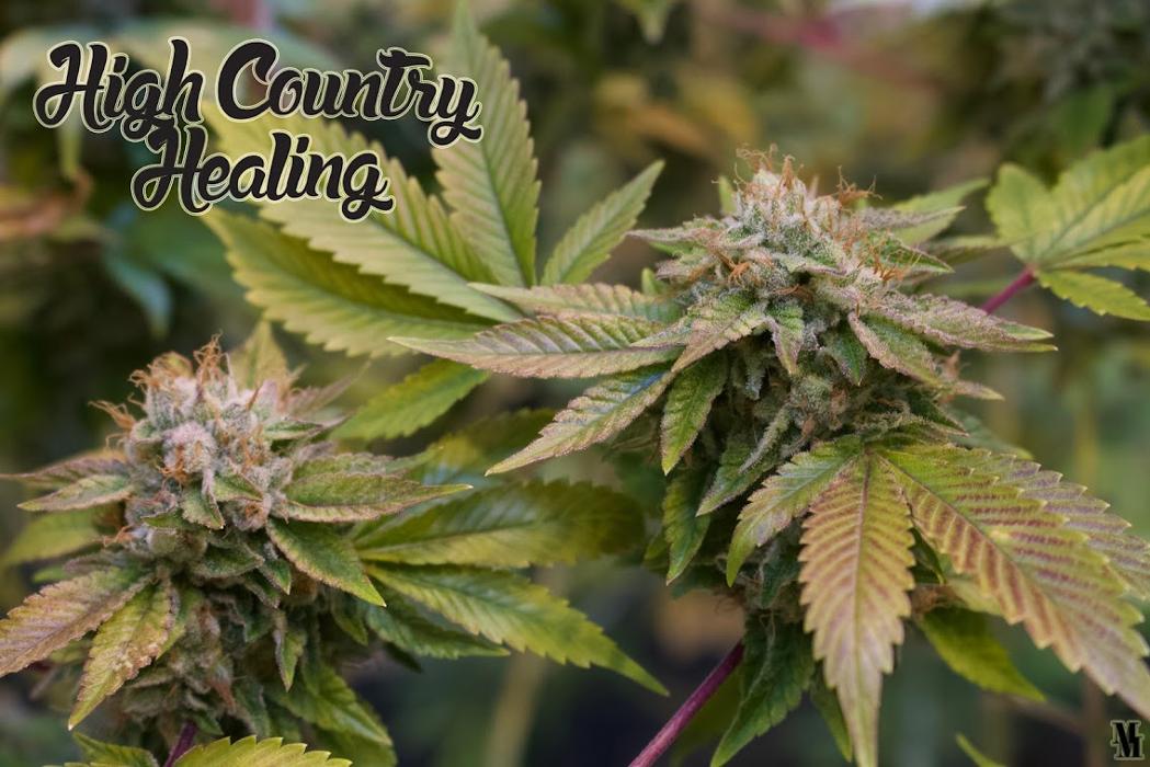 High Country Healing - Beaver Creek, CO