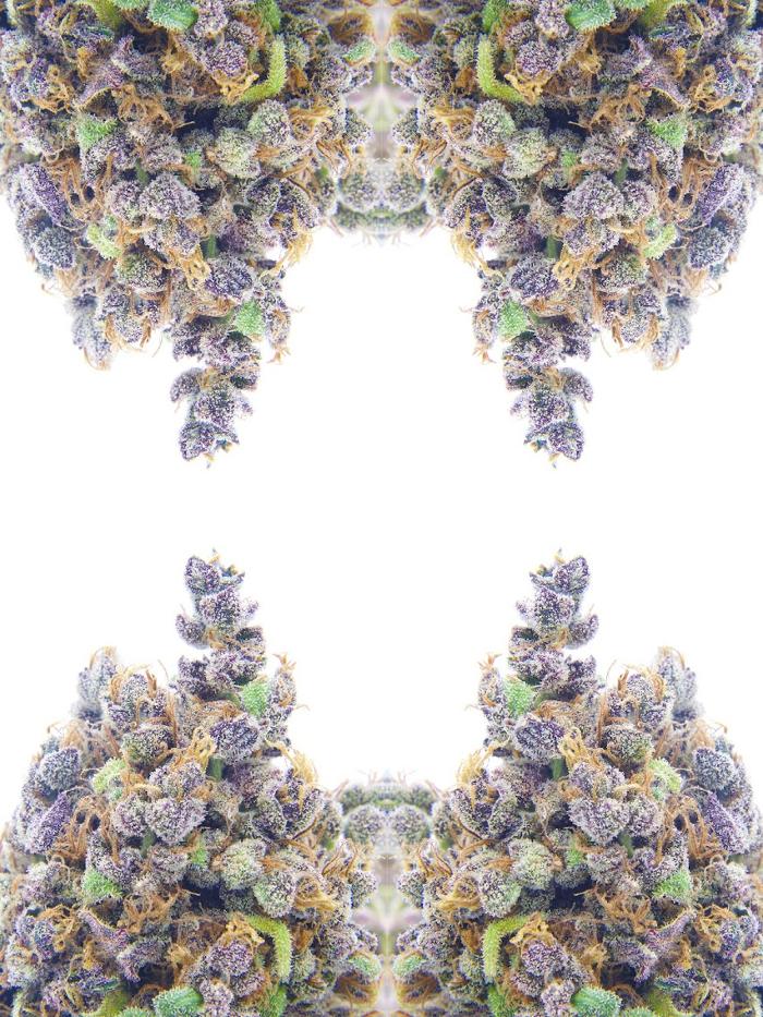 High Country Healing - Beaver Creek, CO