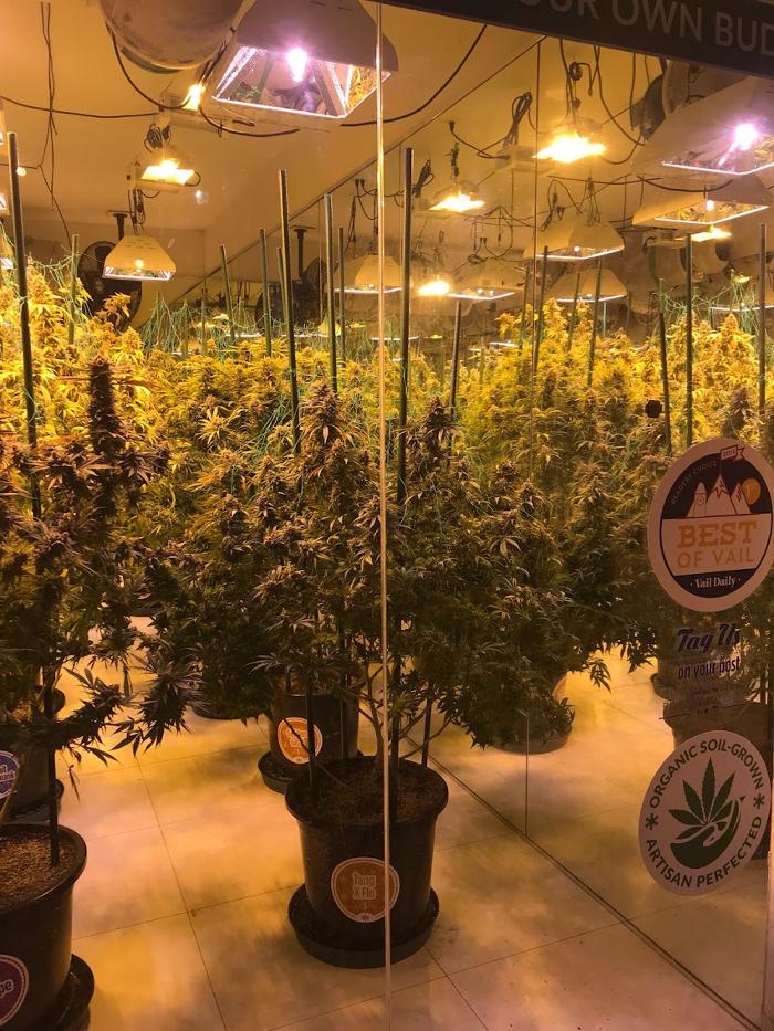 High Country Healing - Beaver Creek, CO