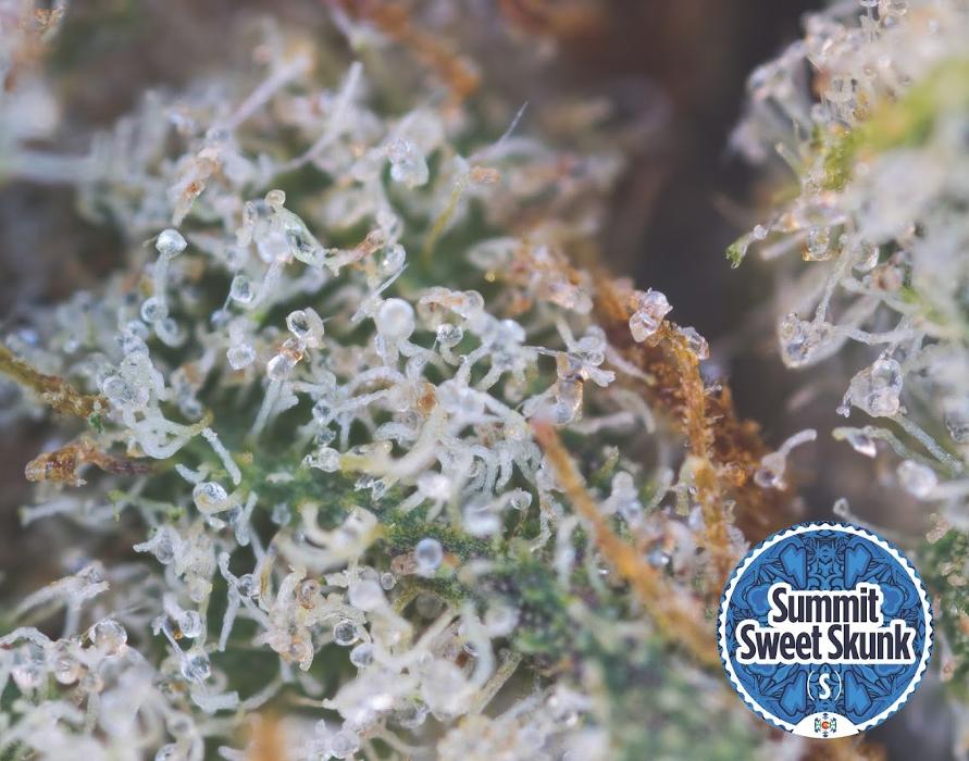 High Country Healing - Beaver Creek, CO