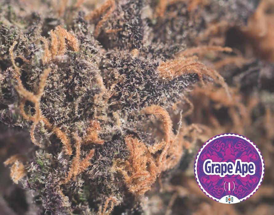 High Country Healing - Beaver Creek, CO