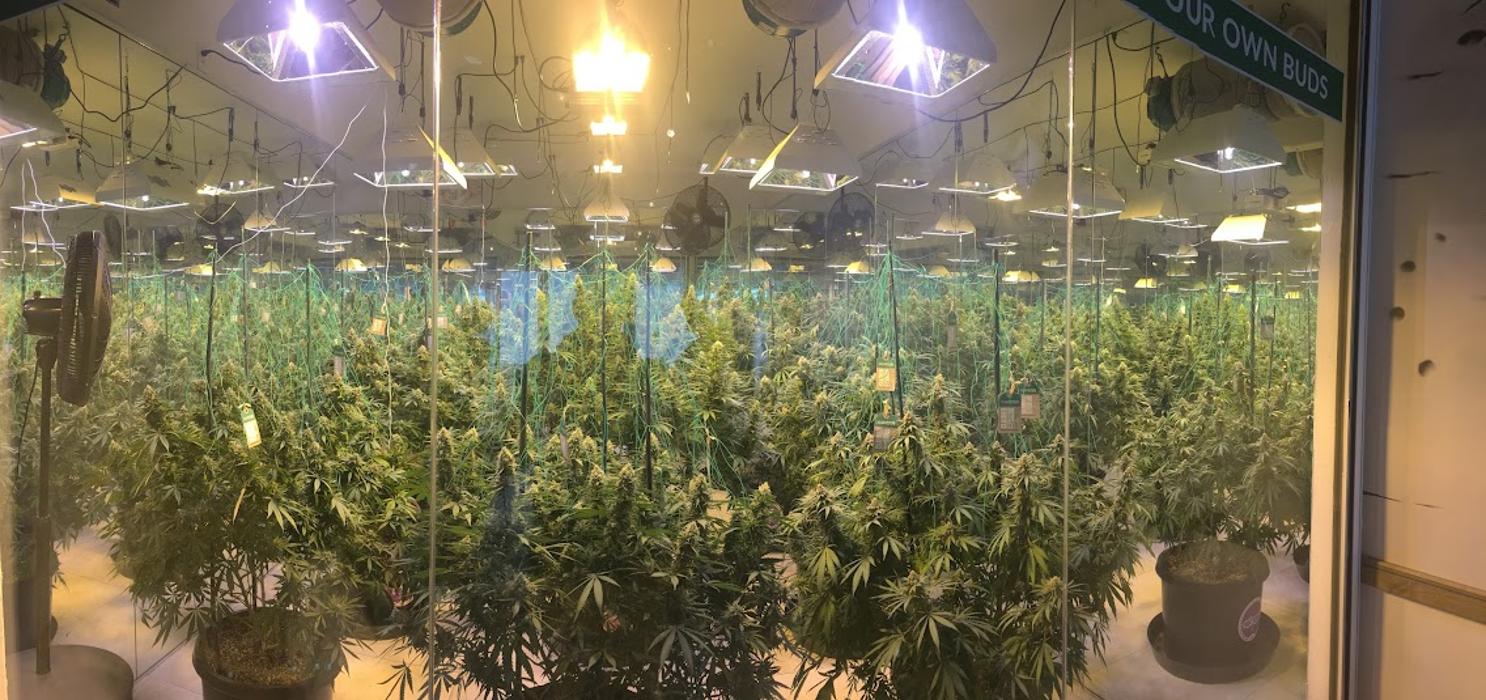 High Country Healing - Beaver Creek, CO