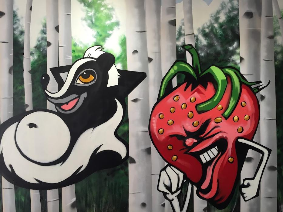 High Country Healing - Beaver Creek, CO