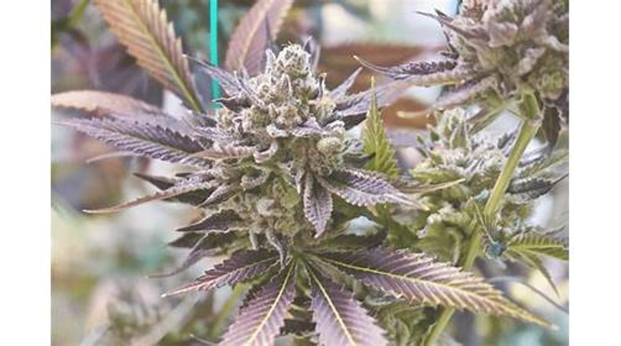 High Country Healing - Beaver Creek, CO