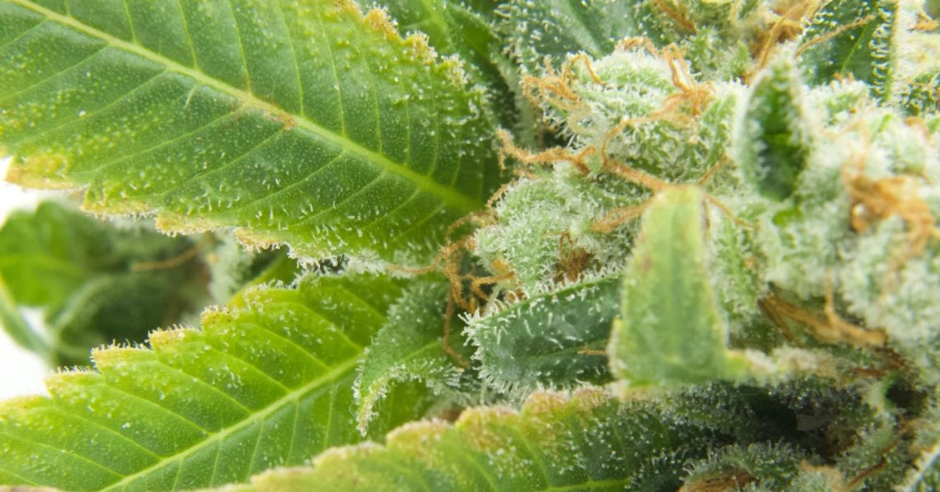 High Country Healing - Beaver Creek, CO