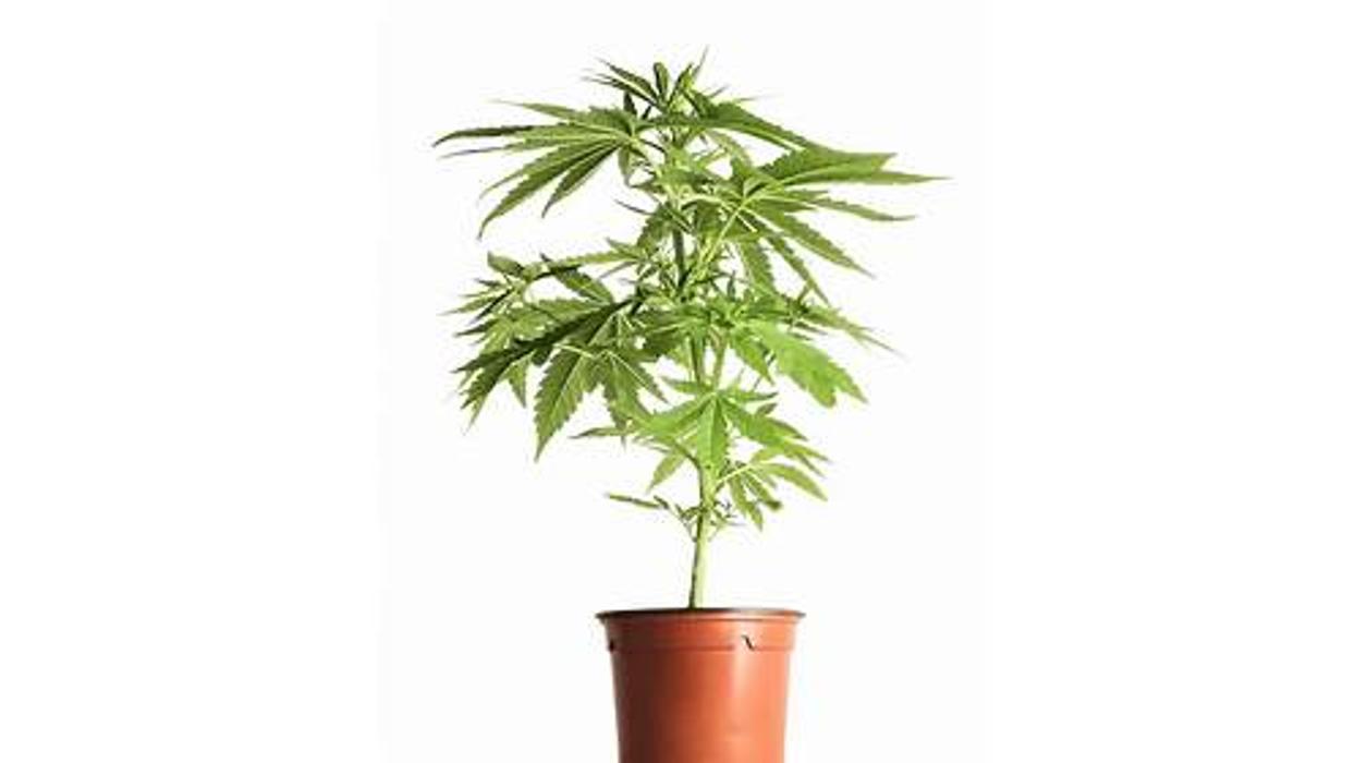 High Country Healing - Beaver Creek, CO