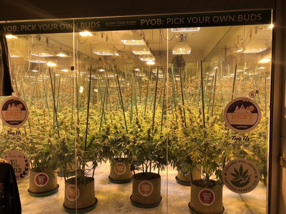 High Country Healing - Beaver Creek, CO