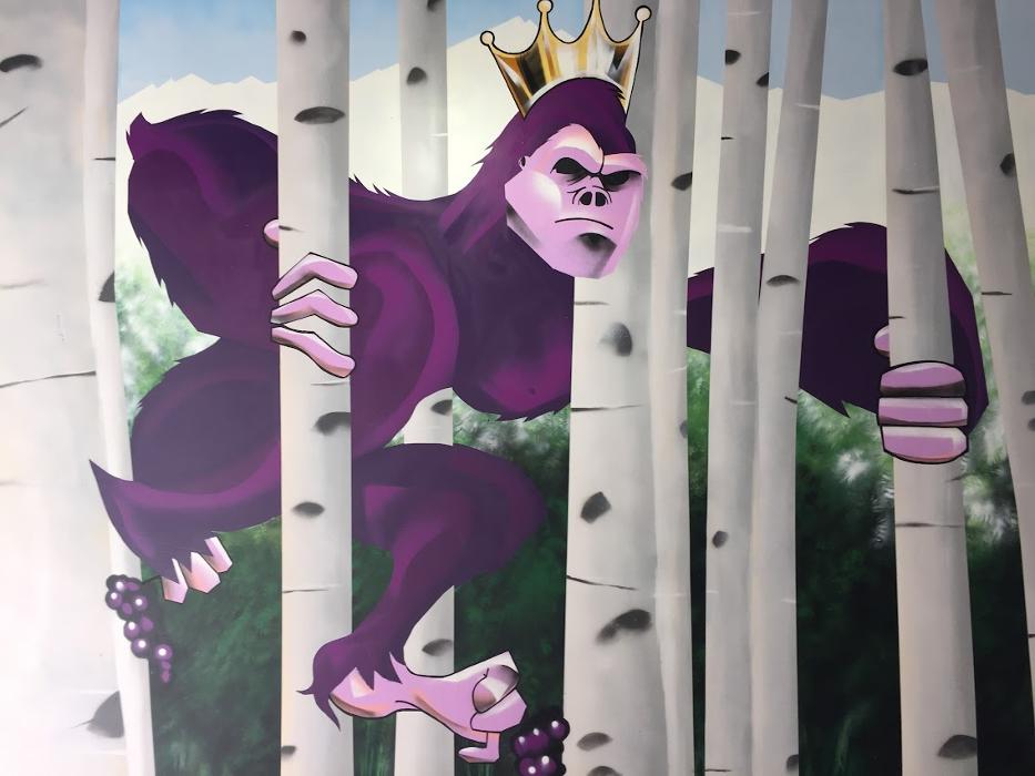 High Country Healing - Beaver Creek, CO