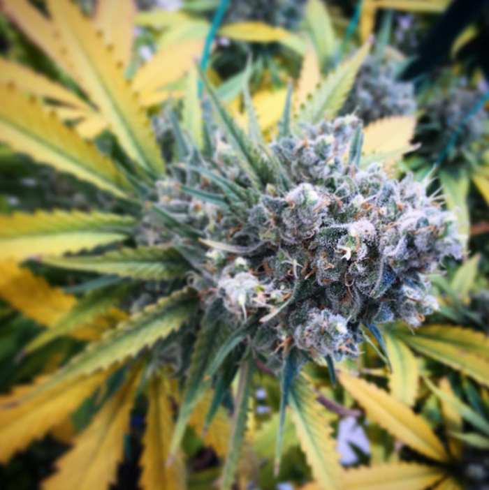 High Country Healing - Beaver Creek, CO