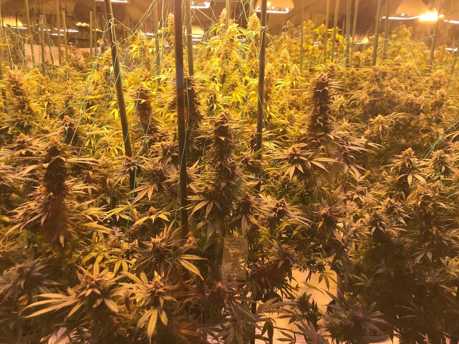 High Country Healing - Beaver Creek, CO