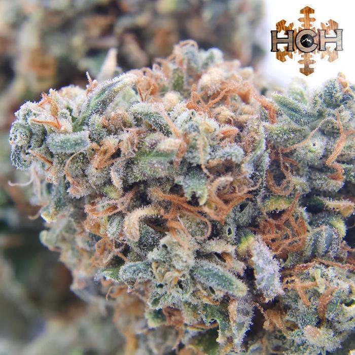 High Country Healing - Beaver Creek, CO