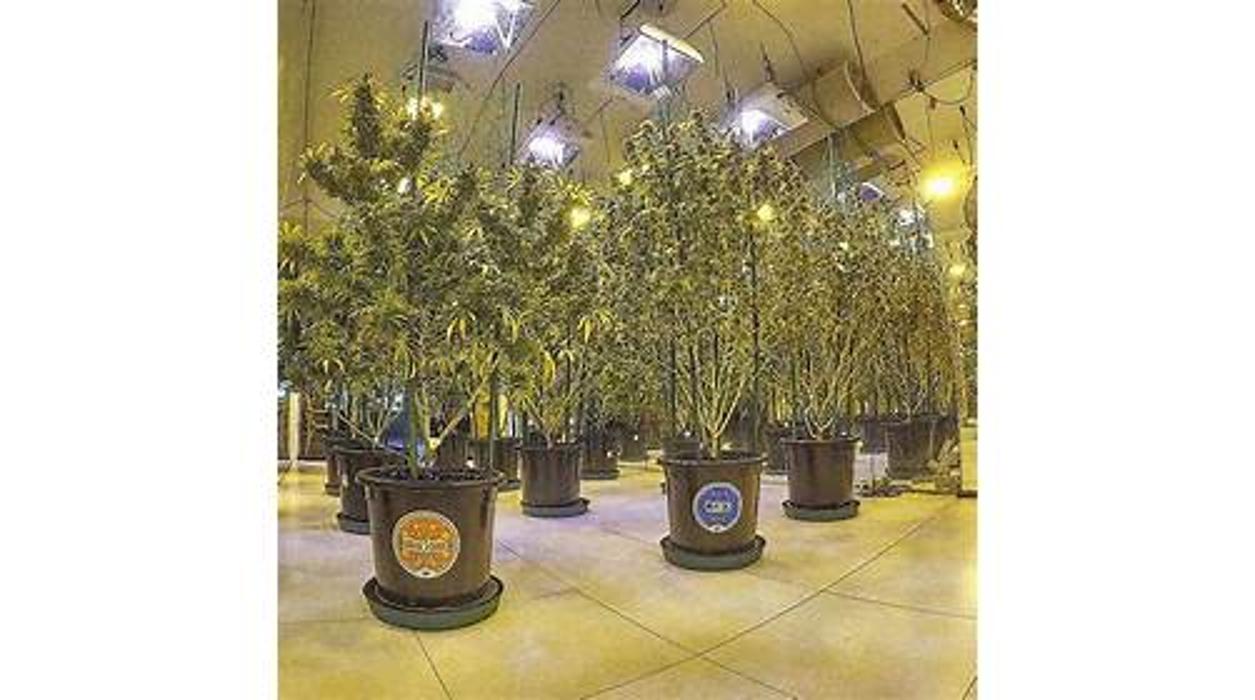 High Country Healing - Beaver Creek, CO