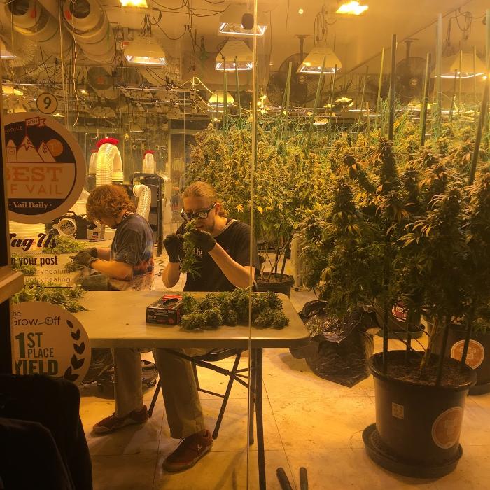 High Country Healing - Beaver Creek, CO