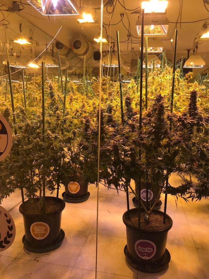 High Country Healing - Beaver Creek, CO