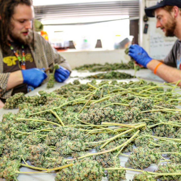 High Country Healing - Beaver Creek, CO