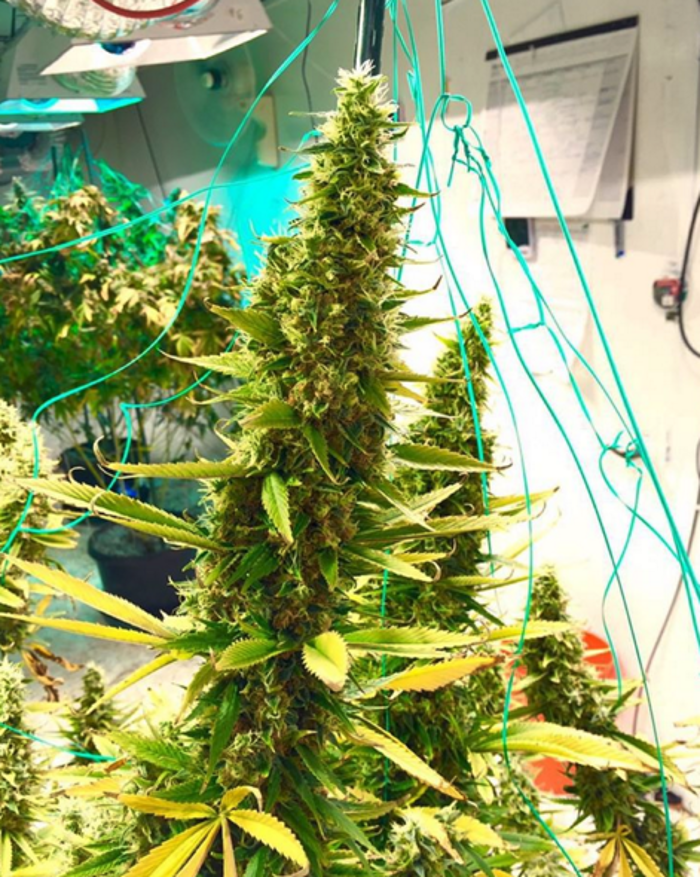 High Country Healing - Beaver Creek, CO