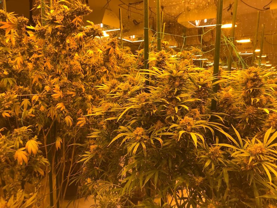 High Country Healing - Beaver Creek, CO