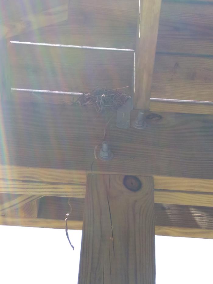 Resolve Pest Management - Bayville, NJ