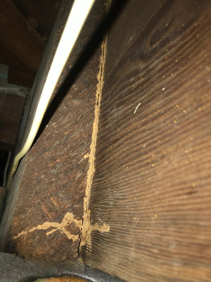 Resolve Pest Management - Bayville, NJ