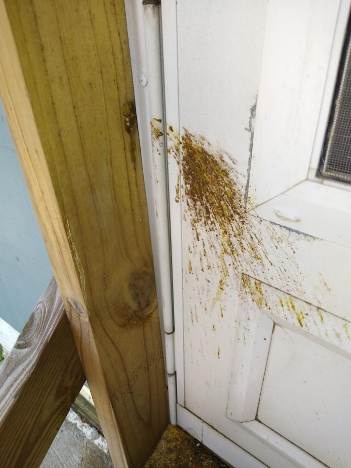 Resolve Pest Management - Bayville, NJ