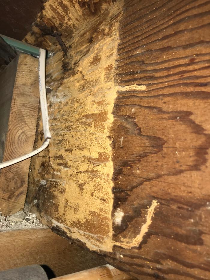 Resolve Pest Management - Bayville, NJ