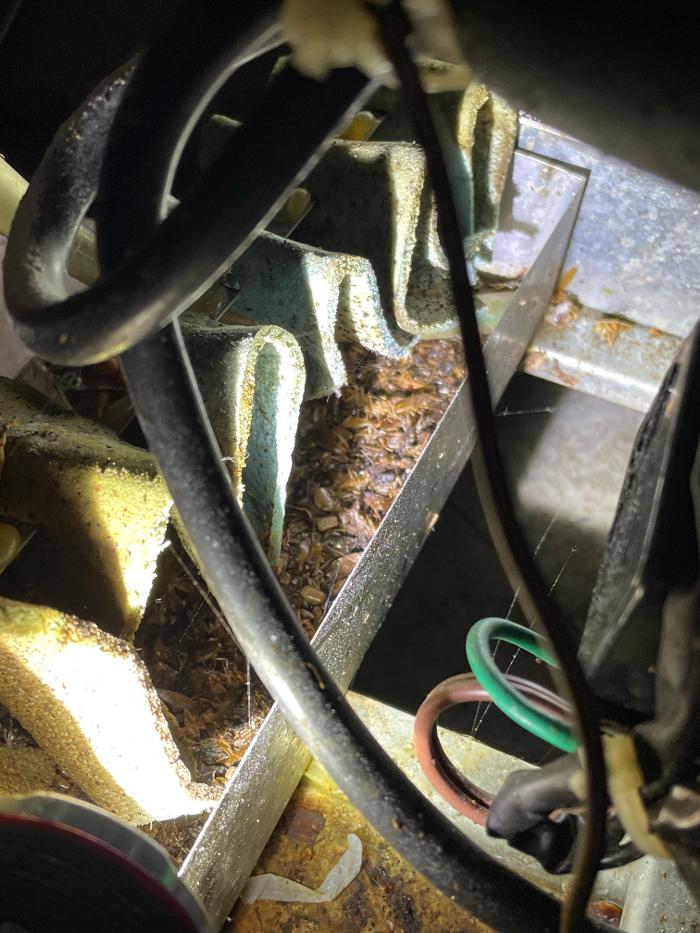 Resolve Pest Management - Bayville, NJ