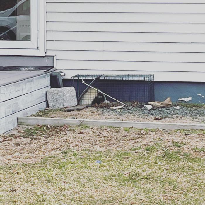 Resolve Pest Management - Bayville, NJ